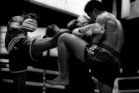 /album/sport/muay-thai-jpg/
